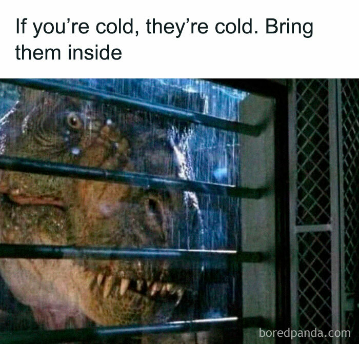 Funny-Dinosaur-Memes-Ralph-The-Rex