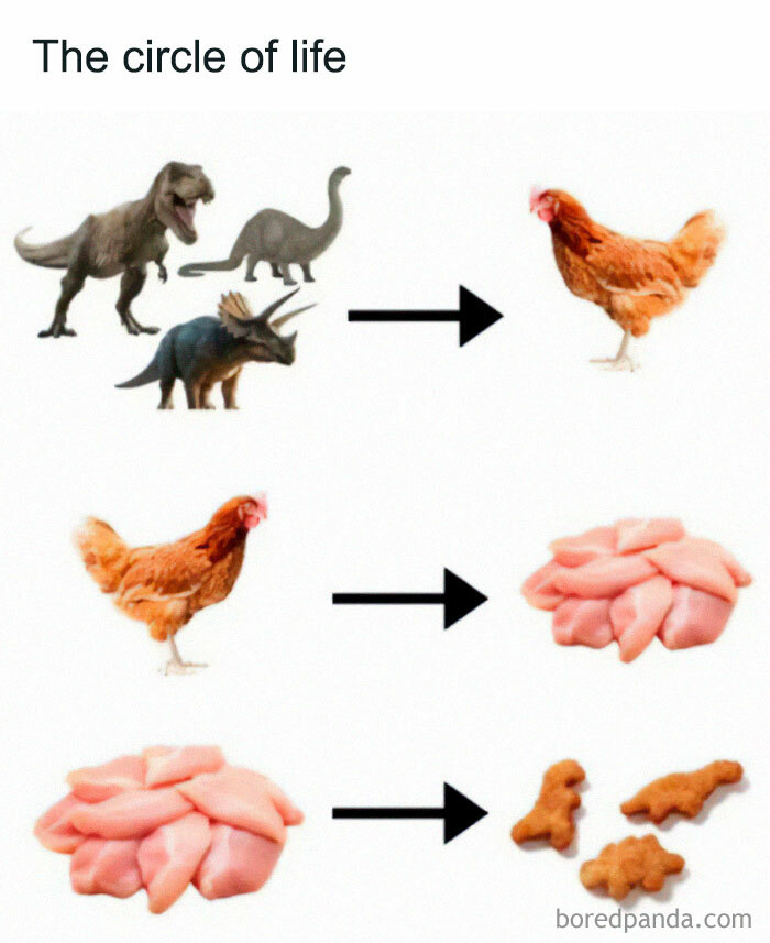 Dinosaurs humorously evolving into chicken, meat, and dinosaur-shaped nuggets in a meme about prehistoric humor.