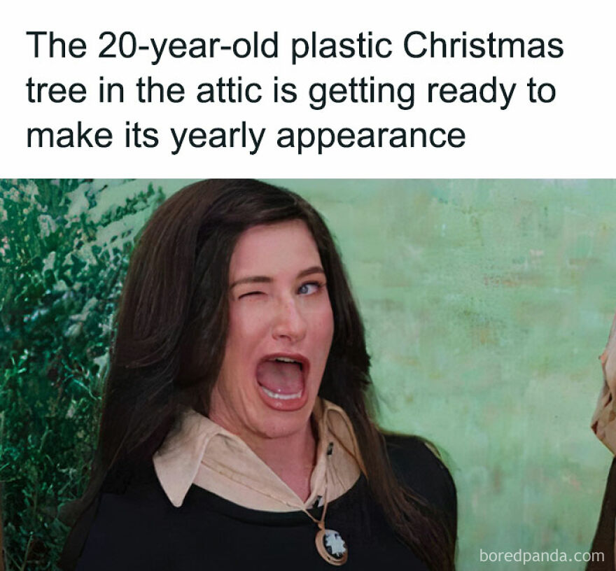 Woman winking at funny Christmas meme about an old plastic tree making its yearly appearance.