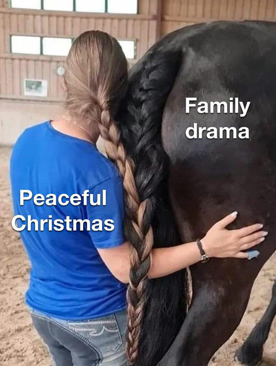 Woman and horse with braided hair labeled "Peaceful Christmas" and "Family drama," illustrating hilarious Christmas memes.