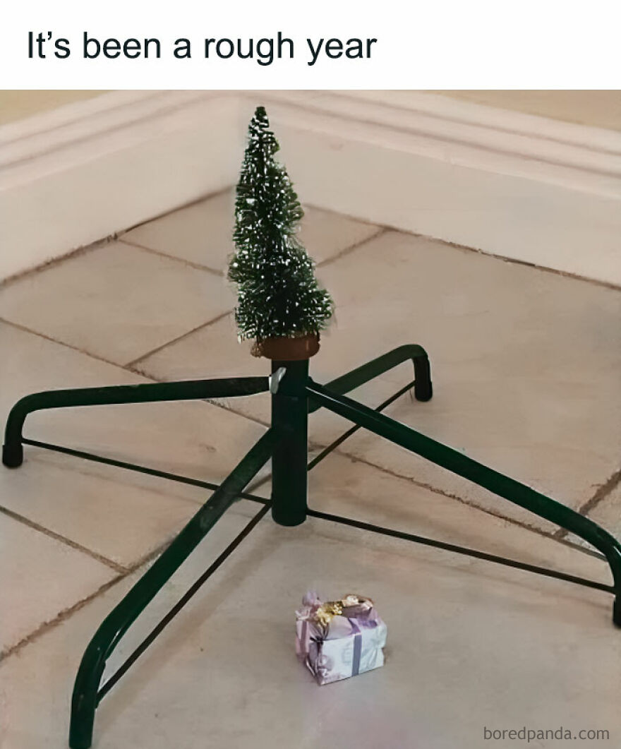 Tiny Christmas tree and a small gift, creating a funny-hilarious-Christmas-memes vibe, captioned "It's been a rough year."