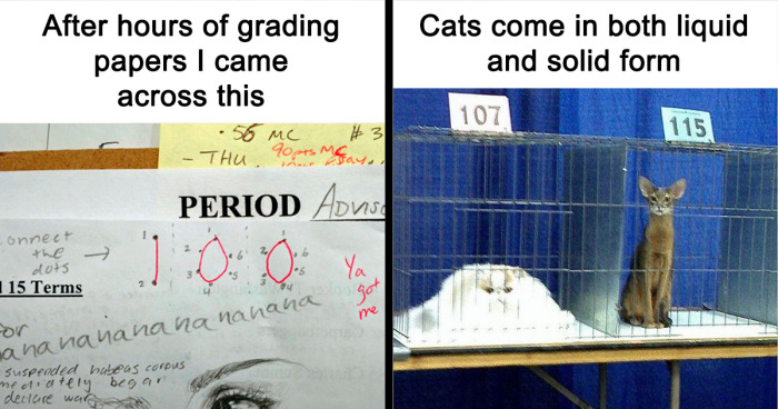 93 Scientifically Proven Memes For Those With An Intellectual Sense Of Humor