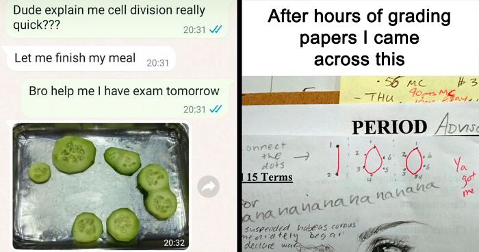 93 Funny And Clever Memes For Science Lovers