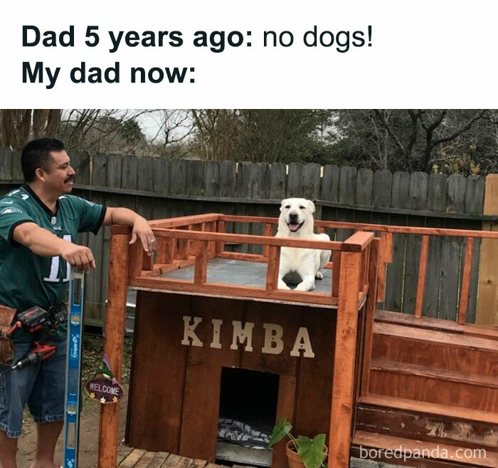 Dad smiling proudly at Kimba the dog in a custom doghouse, showcasing funny pet memes transformation.