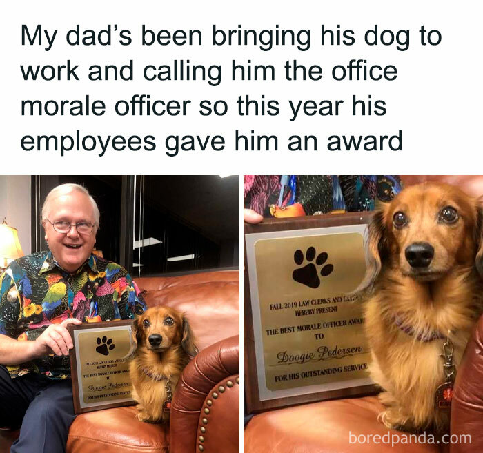 Man with a dog receiving an award, showcasing funny pet memes humor in the office setting.