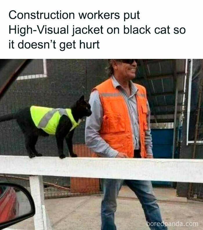 Black cat wearing a reflective vest on a construction site, standing next to a worker. Funny pet memes image.