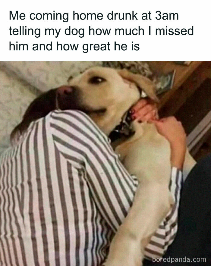 Person hugging a dog with a funny pet meme caption about coming home late and missing the dog.