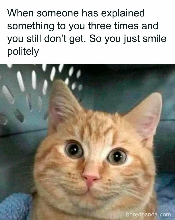 Funny pet meme of a cat with wide eyes, captioned about pretending to understand something after multiple explanations.