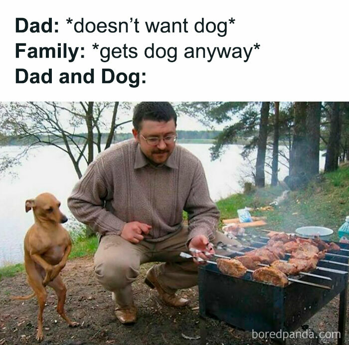 Man and dog BBQ moment by the lake, capturing a funny pet meme scenario.