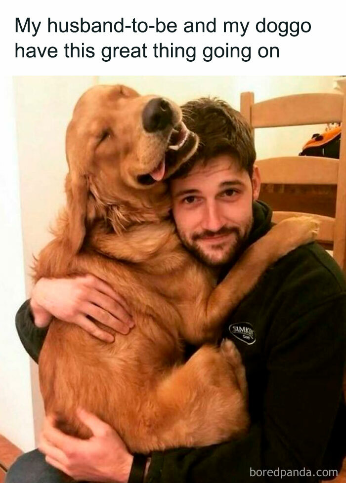 Man hugging a happy Golden Retriever, capturing a heartwarming and funny pet meme moment.