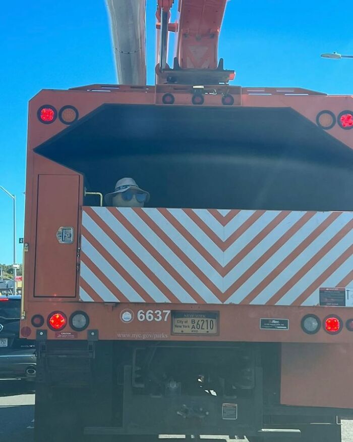 Person in hat and sunglasses peeking from the back of a New York City utility truck in traffic.