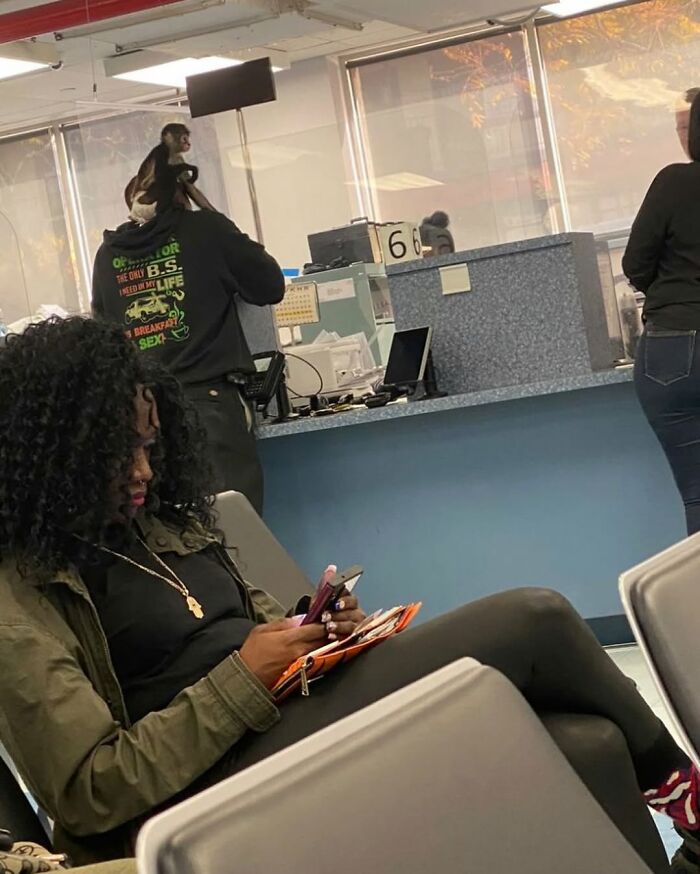 A woman on her phone in a New York office waiting area, with a man carrying a monkey on his shoulder near the counter.