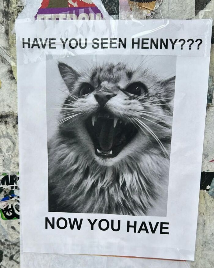 Funny New York poster with a snarling cat labeled "Have you seen Henny? Now you have" on a street wall.