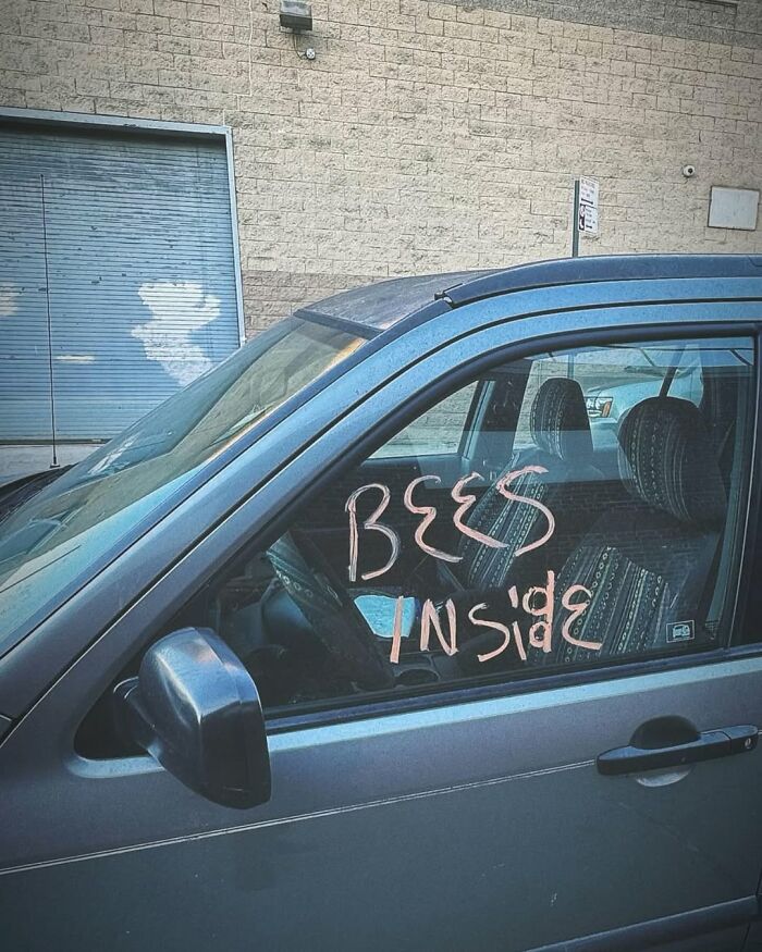 Car parked in New York with "Bees Inside" written on the window.