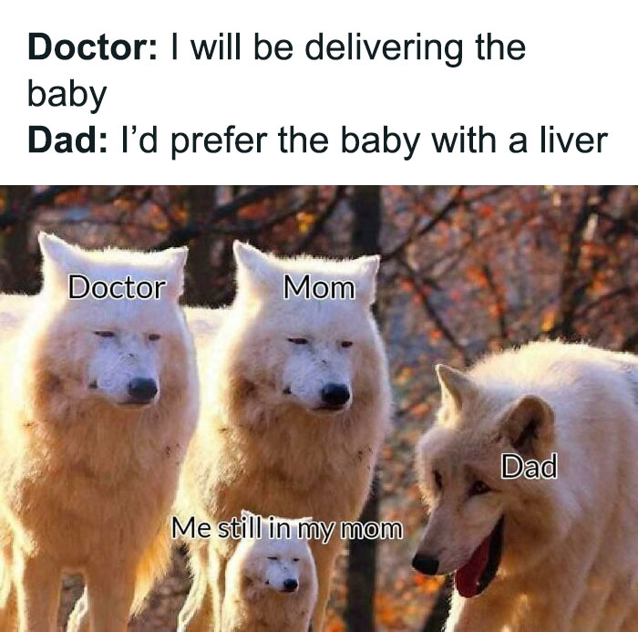 Three wolves labeled Doctor, Mom, and Dad, with one small wolf labeled "Me still in my mom" creating a funny science meme.