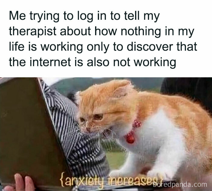 “Welcome To The Worst Of Both Worlds”: 80 Hilariously Spot-On Therapy Memes