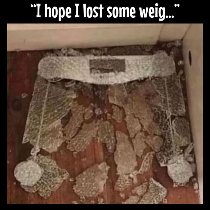 A broken scale with caption "I hope I lost some..." capturing dieting frustrations humorously.