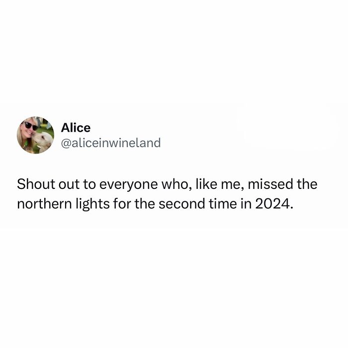 Funny meme about missing the northern lights in 2024, capturing relatable humor.