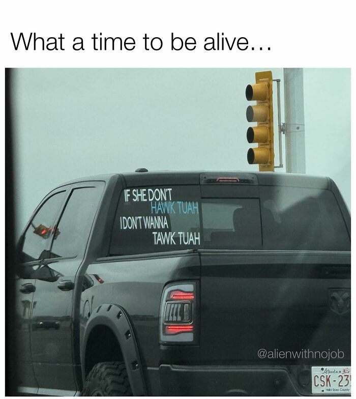 Truck with a humorous meme decal at a traffic light, featuring a playful language twist.