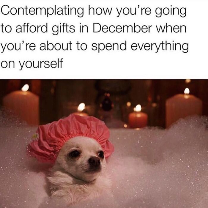 A dog in a bubble bath with a pink shower cap reflecting funny memes about December spending.