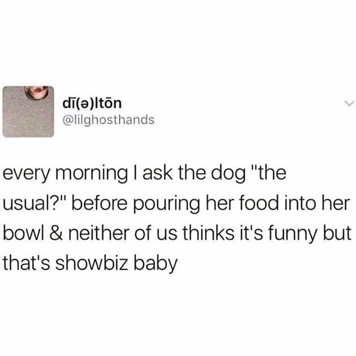 Meme text about asking a dog "the usual?" during feeding time; humorous expression of daily routine.