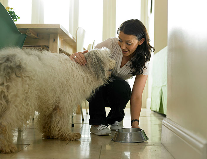 New Mom Bursts Into Tears After Her Sister Gives Her Daughter ‘Dog Food’