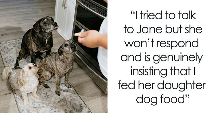 Sister’s Meltdown Leaves Woman Questioning: “AITA For Giving My Niece ‘Dog Food’?”