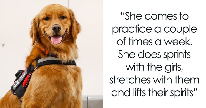 College B-Ball Team Employs Golden Retriever As Their ‘Director Of Pawsitivity,’ And Netizens Love It