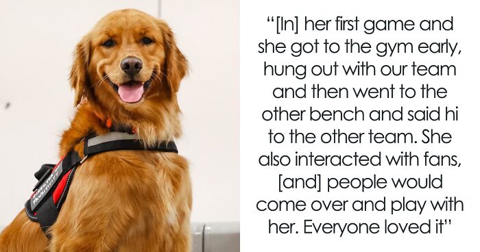 Golden Retriever Hangs Out With College Basketball Team, Gets Employed As ‘Director Of Pawsitivity’