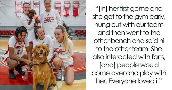 College B-Ball Team Employs Golden Retriever As Their ‘Director Of Pawsitivity,’ And Netizens Love It