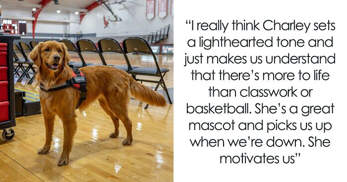 Golden Retriever Enjoys Hanging Out With Women's Basketball Team, They Decide To Employ Him Officially