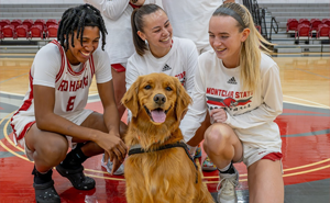 College B-Ball Team Employs Golden Retriever As Their ‘Director Of Pawsitivity,’ And Netizens Love It