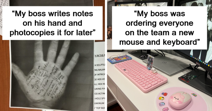 64 Wholesome Bosses Who Make Their Employees Never Want To Leave Their Job (New Pics)