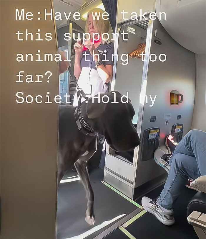 “This Is Ridiculous”: Passenger Dragged For Unleashing “Emotional Support” Great Dane On Plane