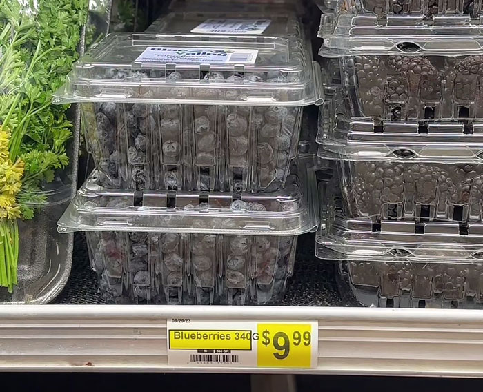 Groceries in the Arctic: packaged blueberries priced at $9.99 each, highlighting high cost of food.