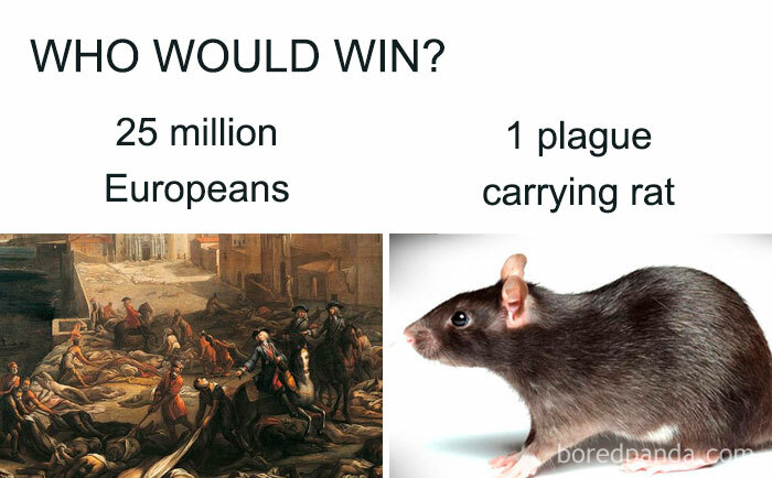 History meme comparing 25 million Europeans to one plague-carrying rat with humorous text overlay.