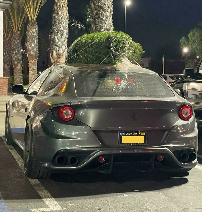 Christmas Tree On Top Of A $430,000 Ferrari