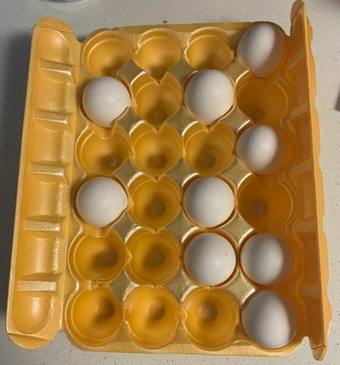 Empty egg carton with eggs placed randomly, illustrating a typical horrible-roommates scenario.