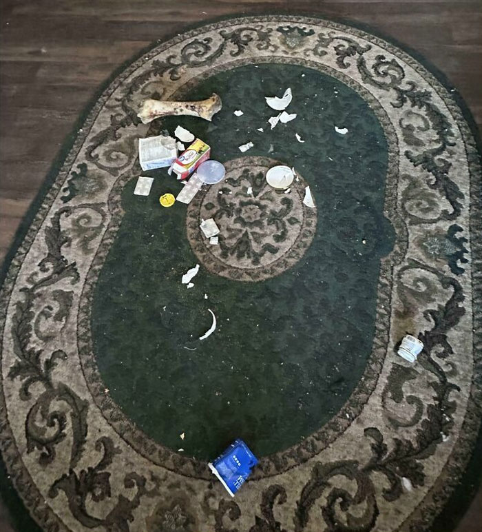 Scattered trash on green patterned rug, showing the mess left by horrible roommates.