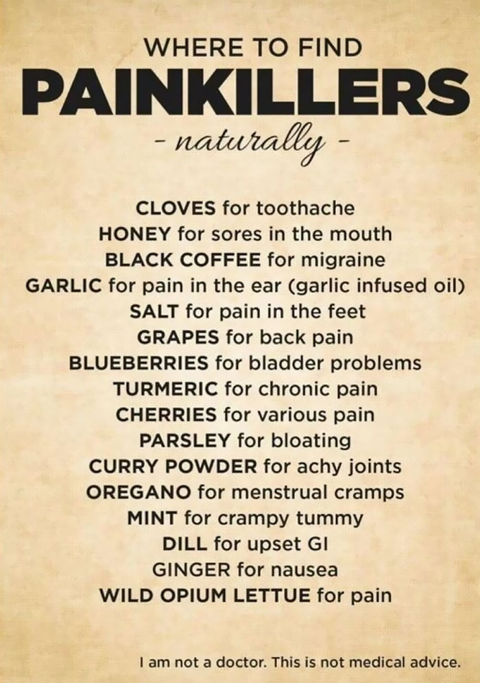 List of natural painkillers, including cloves for toothache and ginger for nausea.