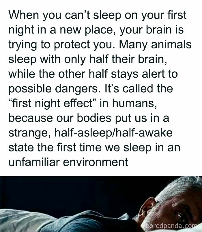 Text explaining "first night effect" and why humans struggle to sleep in new environments, with an image of a person in bed.