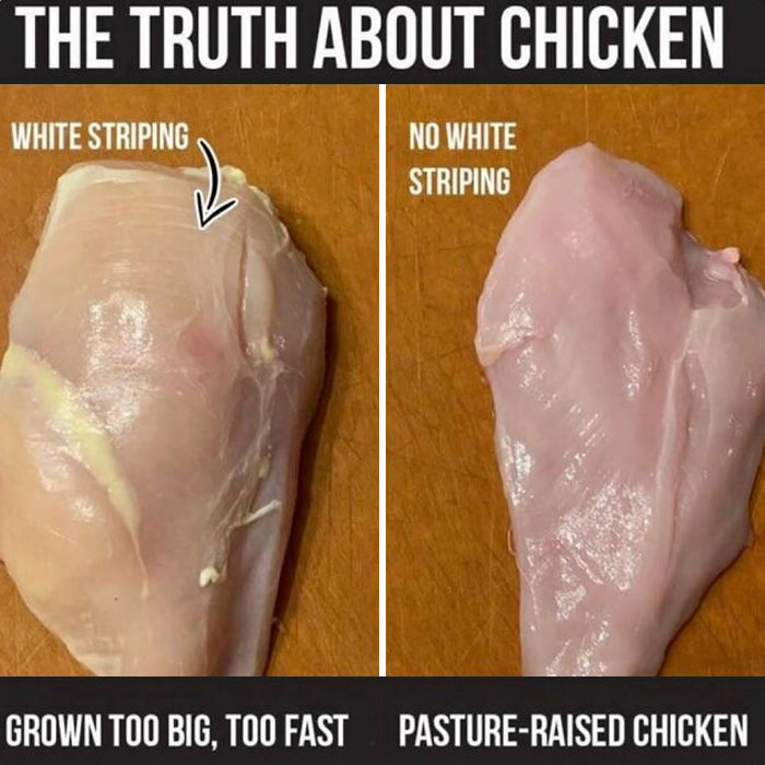 Comparison of chicken breast showing white striping on one side, illustrating how everything works in poultry growth methods.