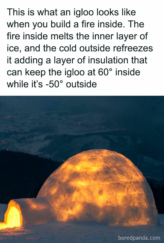 Glowing igloo in a snowy landscape, illustrating how it works as an insulated shelter in extreme temperatures.