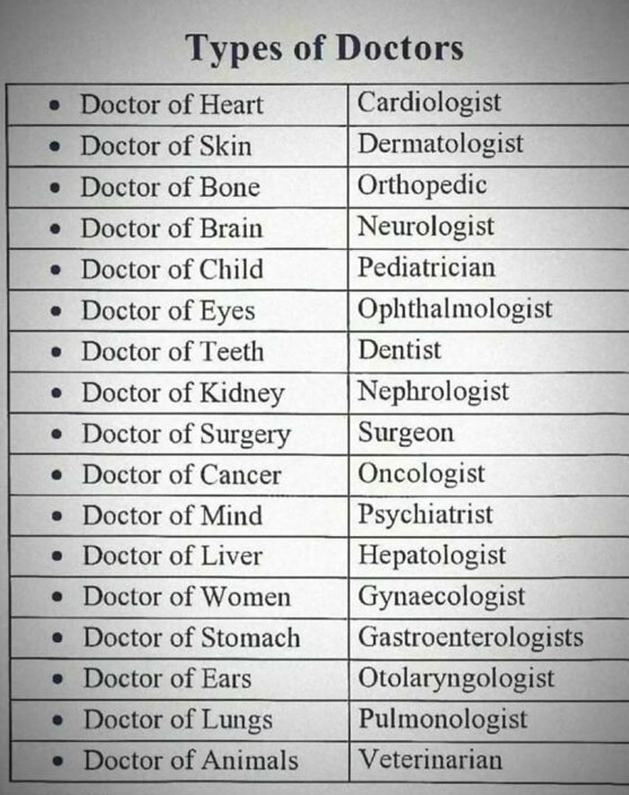 Chart listing types of doctors, from cardiologists to veterinarians, showing how everything works in medical specialties.