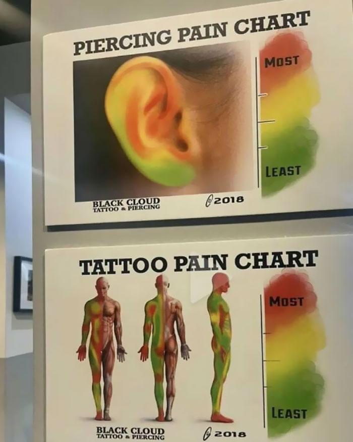 Piercing and tattoo pain charts displaying areas of most and least pain on the ear and body with color gradients.