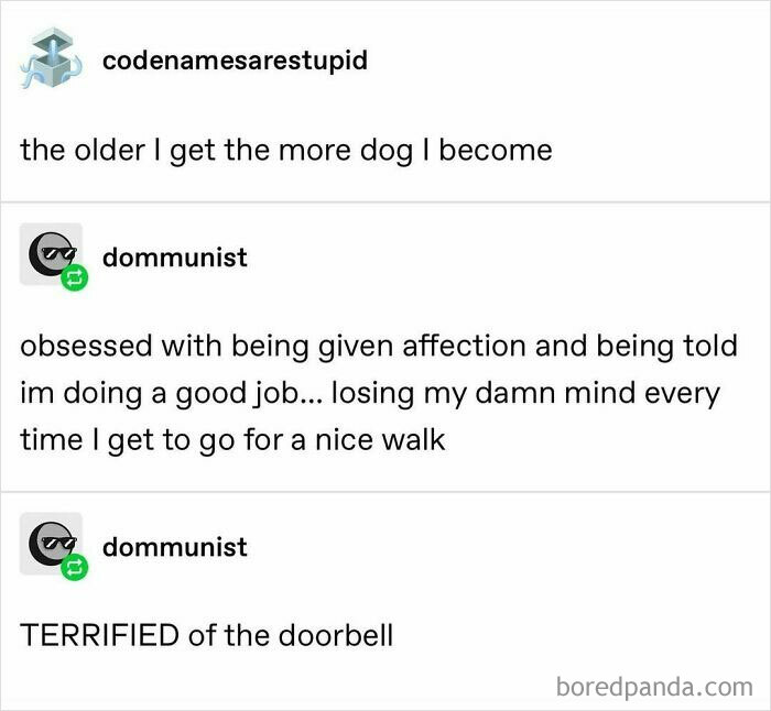 Relatable memes about feeling like a dog, wanting affection, and fearing the doorbell.