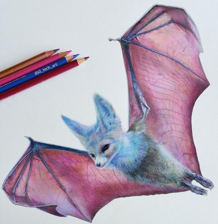 Hyper-realistic pencil drawing of a fantastical creature with large wings, next to colored pencils.