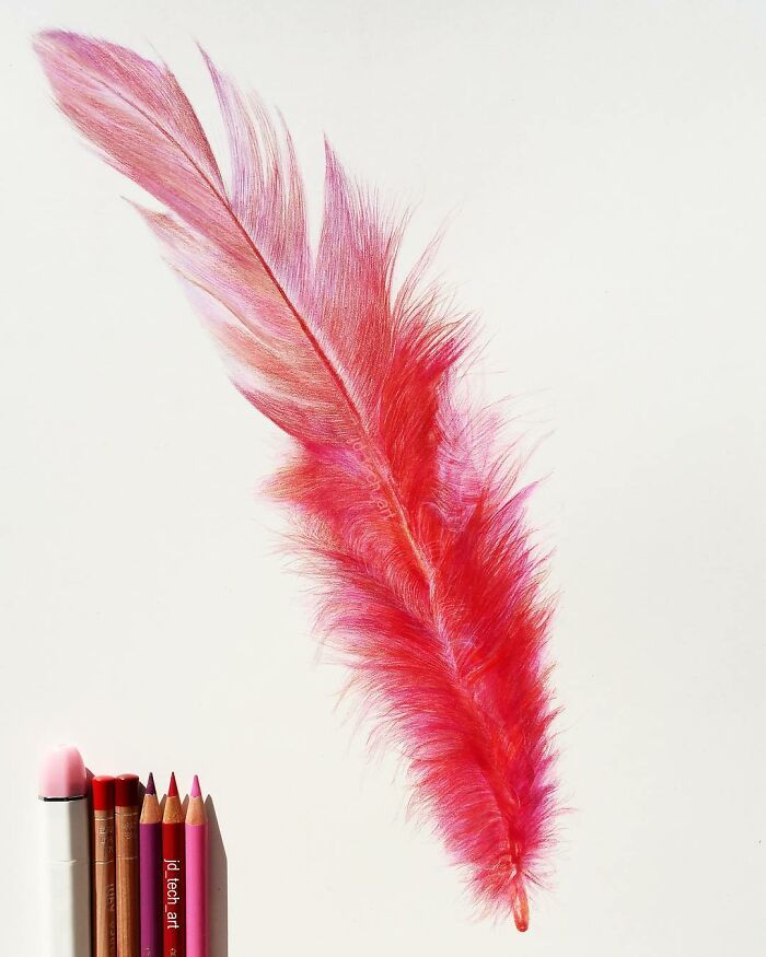 Hyper-realistic pencil drawing of a red feather alongside colored pencils on a white background.