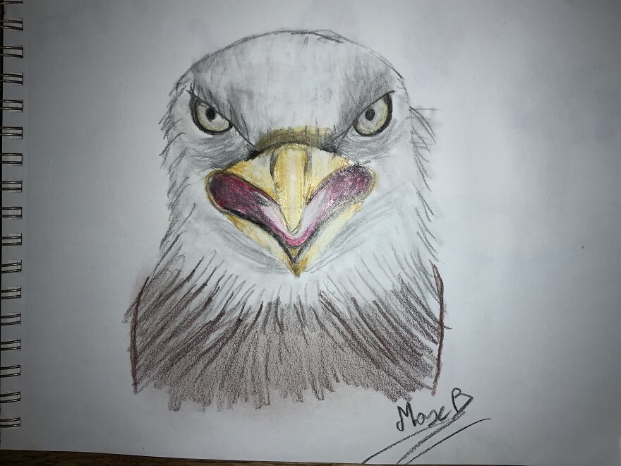 Drawing Of Eagle