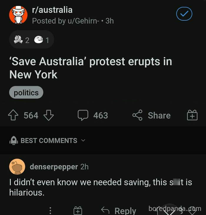 Reddit post about a New York protest to 'Save Australia' with a humorous comment highlighting ignorance.